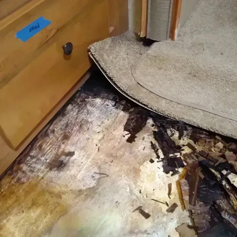 Wood Floor Water Damage in Hermann, MO